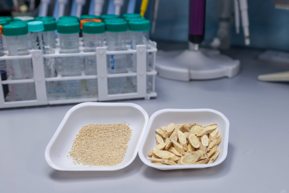 黃芪顆粒（左）及黃芪飲片（右）。